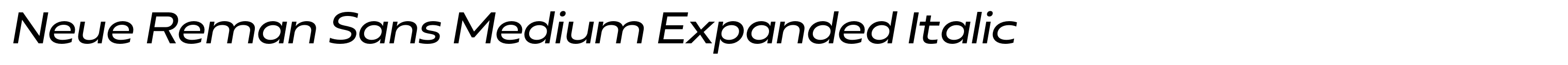 Neue Reman Sans Medium Expanded Italic